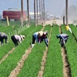 the immigrant workers who power our food system face growing threats