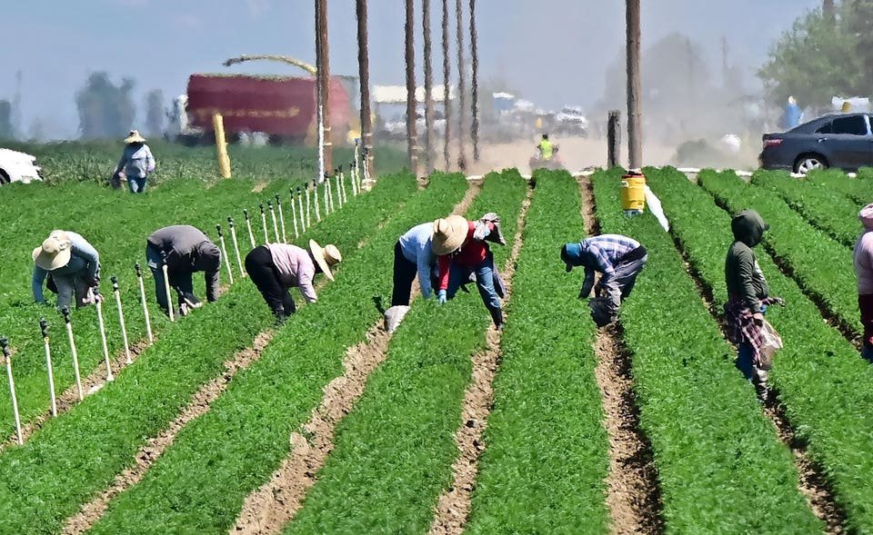 the immigrant workers who power our food system face growing threats