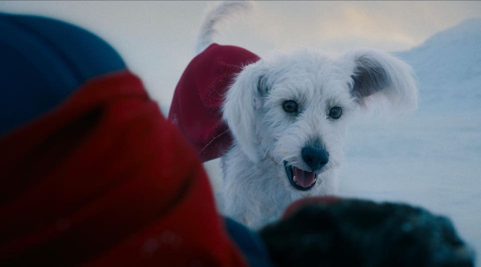 ‘superman’ sequel in the works? sort of, says james gunn