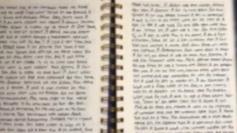 journal entries from minneapolis shooter reveal desire to see children suffer