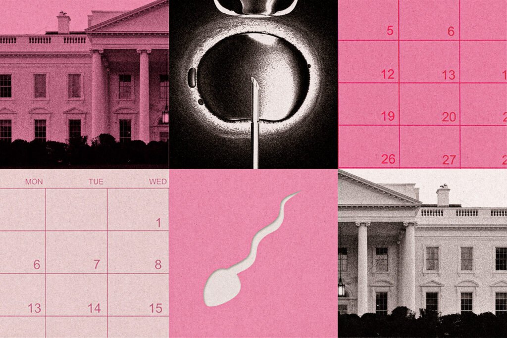 a little known approach to infertility is complicating the white house's ivf push