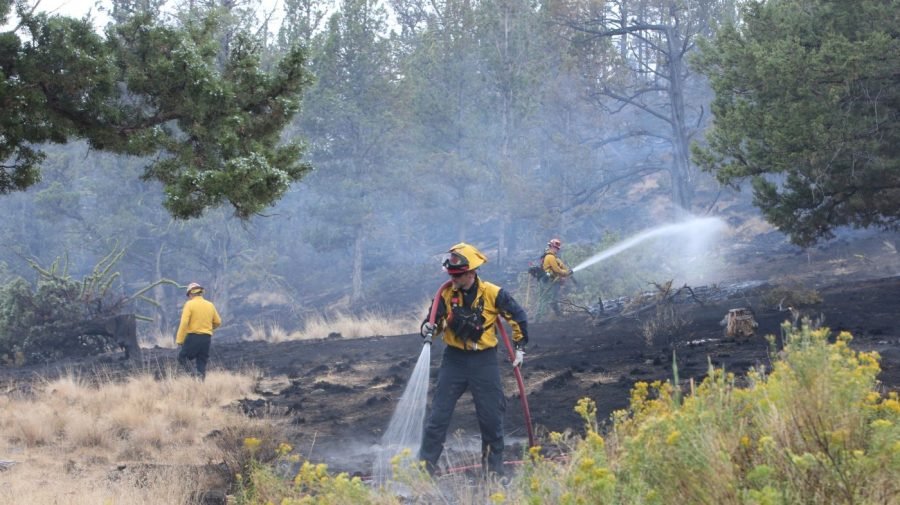 'starting to take this personally': 'the office' actor flees home, again, amid oregon wildfire