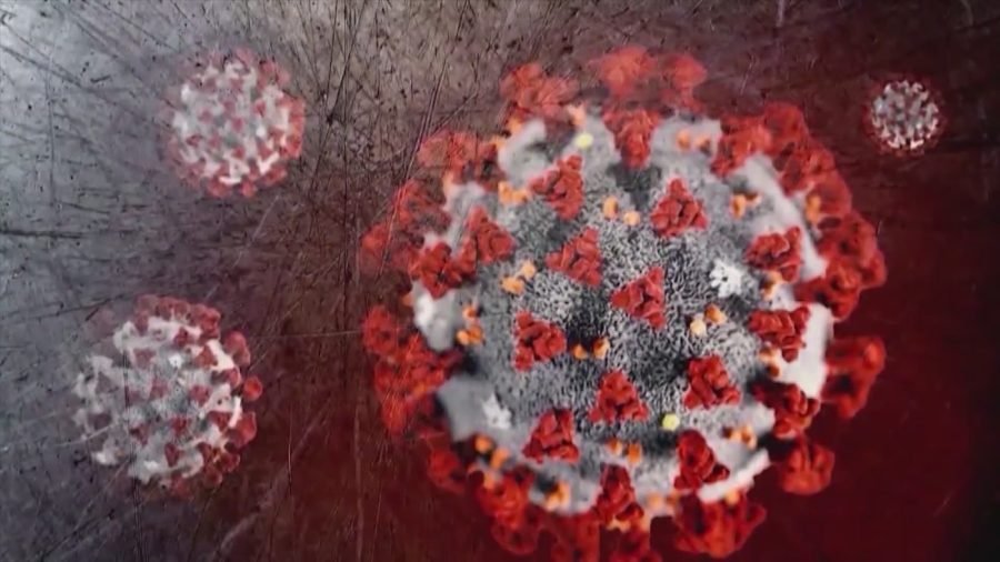 where the summer covid 19 infections are hitting hardest