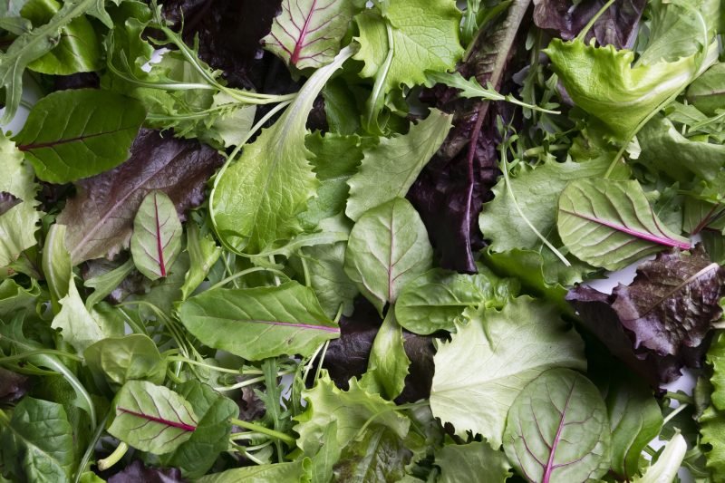 fda: salad kits sold in 25 states recalled