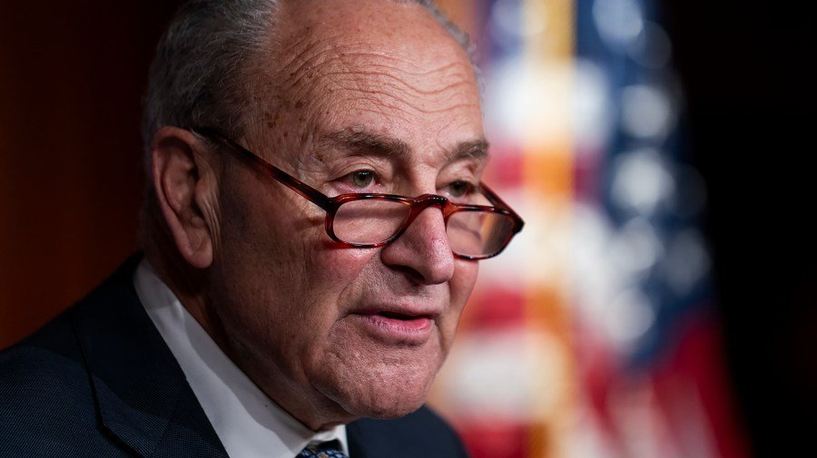 schumer demands rfk jr. firing over cdc chaos