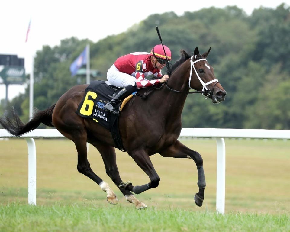 stellify makes a statement at kentucky downs