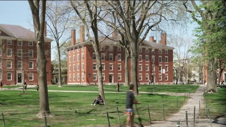 federal judge rules harvard grant freeze was illegal, violated free speech